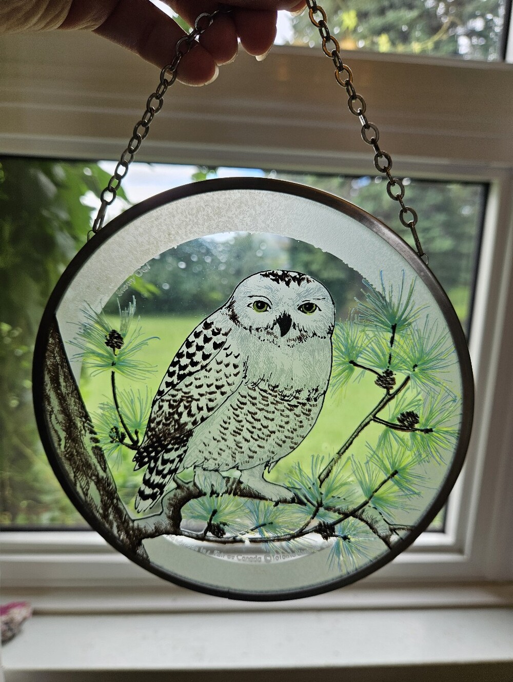Stained Glass Owl